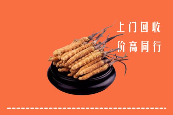宜宾江安回收冬虫夏草