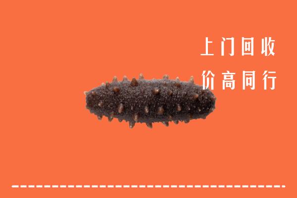 高价求购：宜宾江安回收海参