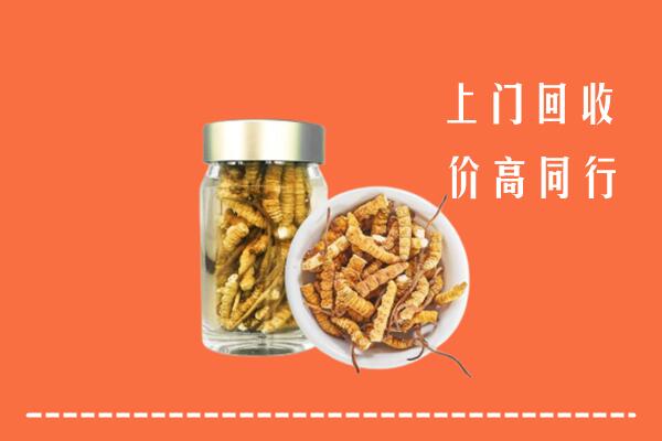 宜宾江安回收冬虫夏草