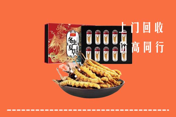 宜宾江安回收虫草